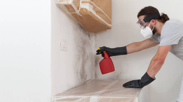 Professional Bathroom Mold Removal technician working in Galesville, MD